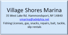 Village Shores Marina